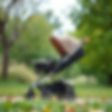 A stylish and affordable stroller in a park setting