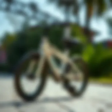 An ergonomic bicycle designed for infants