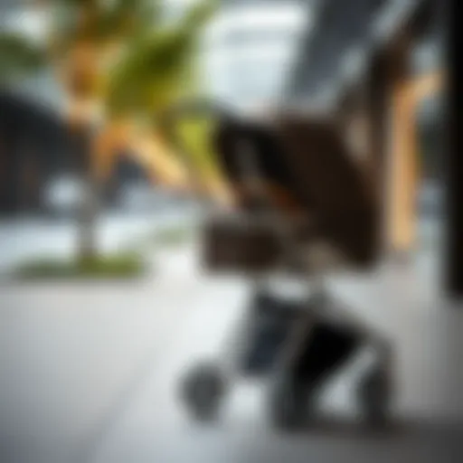 Elegant stroller design showcasing modern features