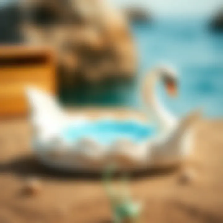 Features of a quality swan sea bed