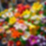 Colorful toy display showcasing various flower-themed toys