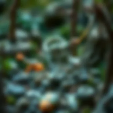 An interactive ecosystem with tailless animals depicted