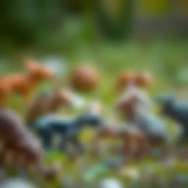 A collage showing various tailless animals interacting with their environment