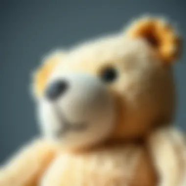Close-up of the features of a breathable bear toy