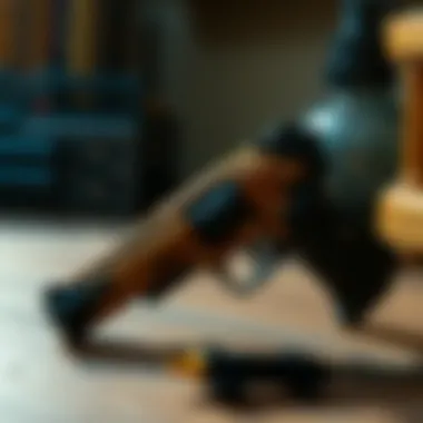 Parental guidance on selecting toy guns