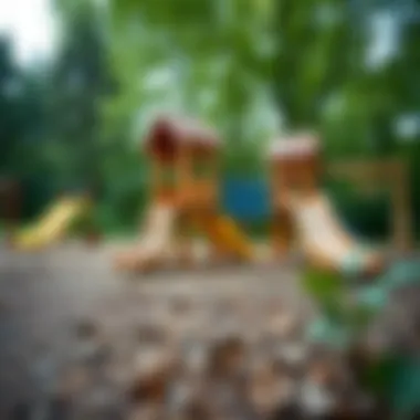 An artistic representation of a natural playground with diverse play structures